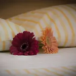 Bed & Breakfast On The Rainbow