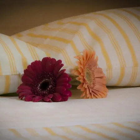 Nocleg ze śniadaniem On The Rainbow