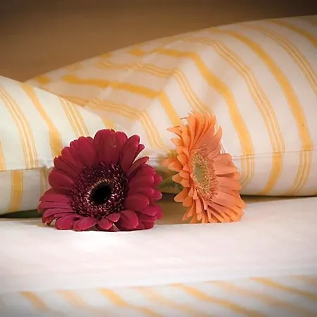 Bed & Breakfast On The Rainbow 4*
