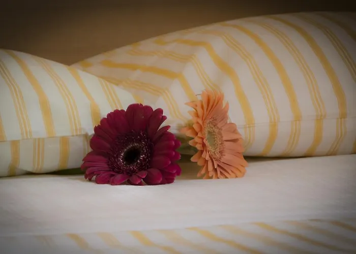 住宿加早餐酒店 彩虹之上住宿加早餐旅馆