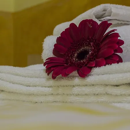 온 레인보우 비앤비 B&B 로마